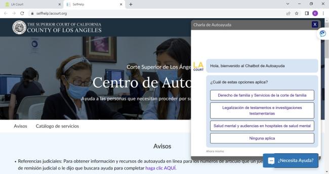 court website chatbox